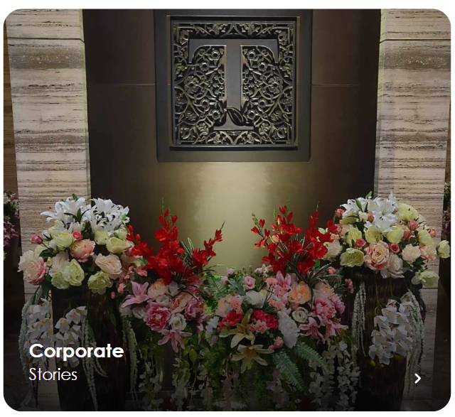 Corporate Stories